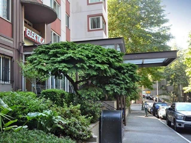 Vibrant Downtown, King Bed, Work Desk & Kitchen Villa Seattle Exterior photo